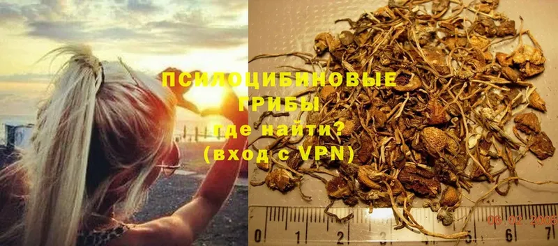 Галлюциногенные грибы Magic Shrooms  сколько стоит  Семикаракорск 