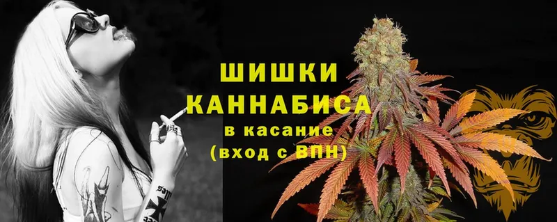 наркошоп  Семикаракорск  Канабис OG Kush 